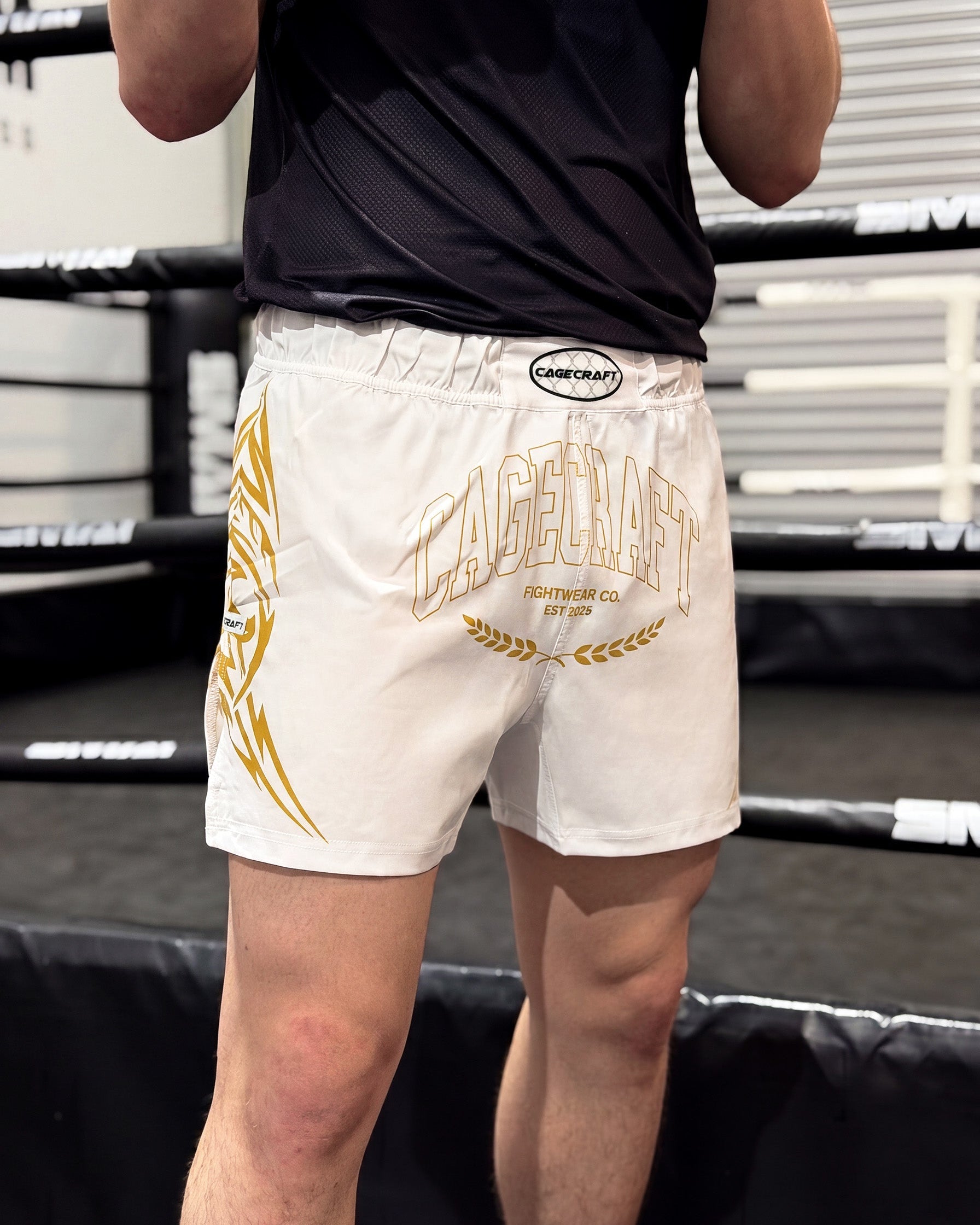 Champion White Gold MMA Shorts