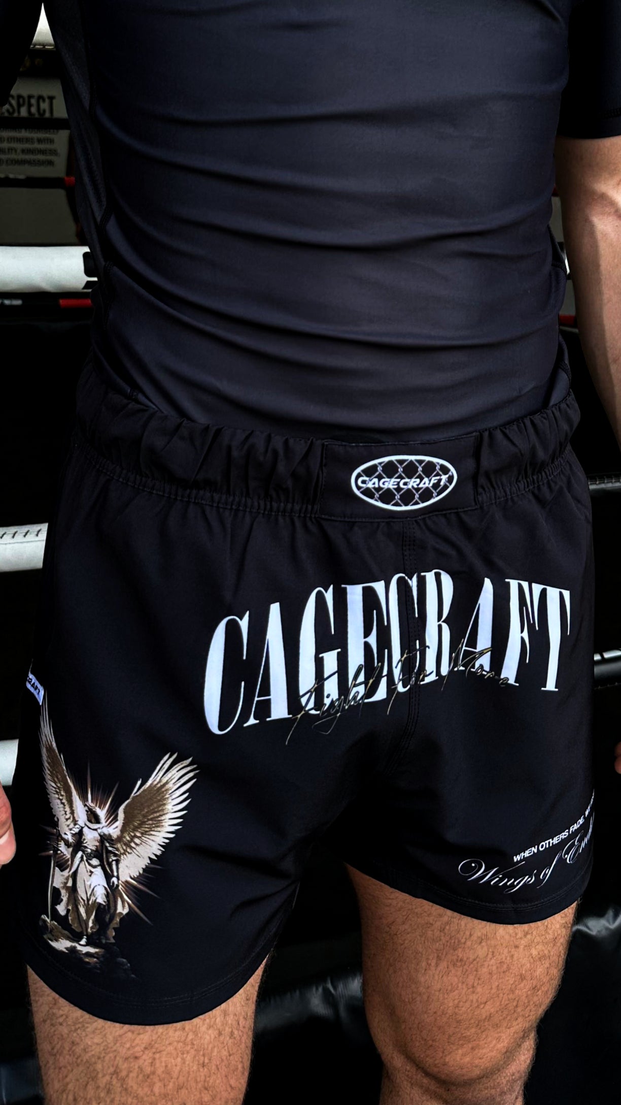 Wings of Endurance MMA Shorts image 1
